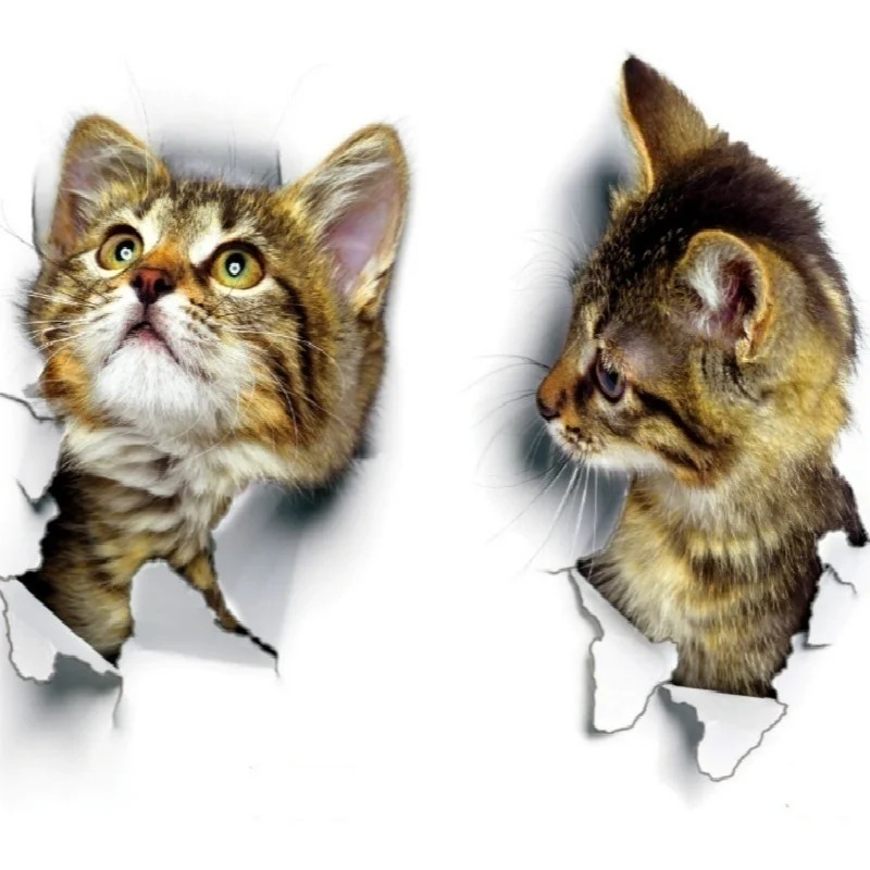 3pcs 3D Cute Cat Self-adhesive - Pvc Panel Background 리뷰 및 가격