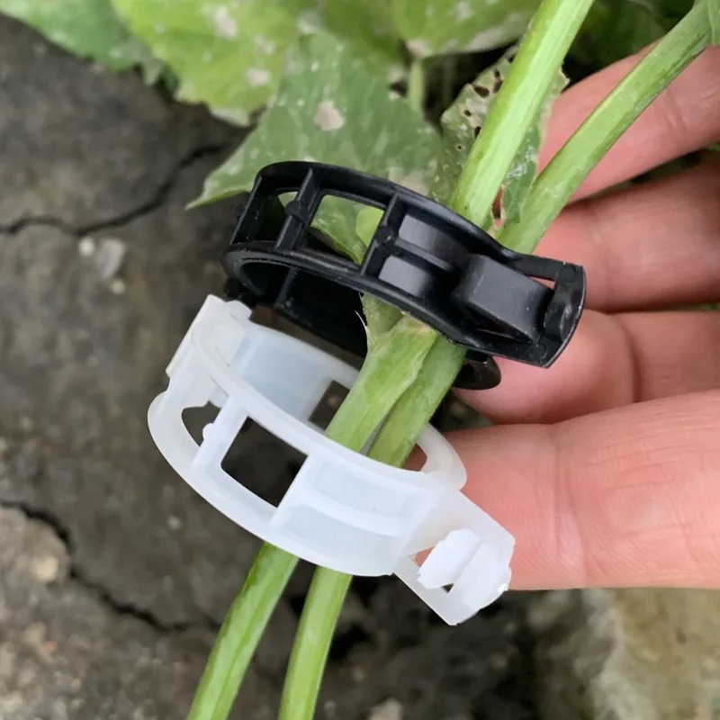 Reusable Plastic Plant Support - Vine Climbing Plastic 리뷰 및 가격