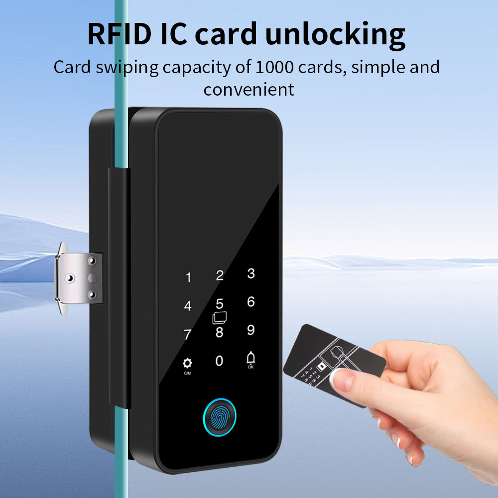 B16 Tuya APP Bluetooth Glass D - Glass Door Hinge 리뷰 및 가격
