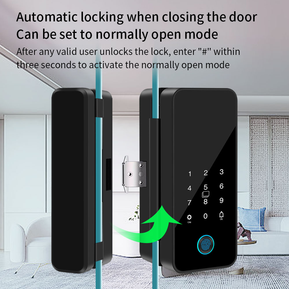 B16 Tuya APP Bluetooth Glass D - Glass Door Hinge 리뷰 및 가격