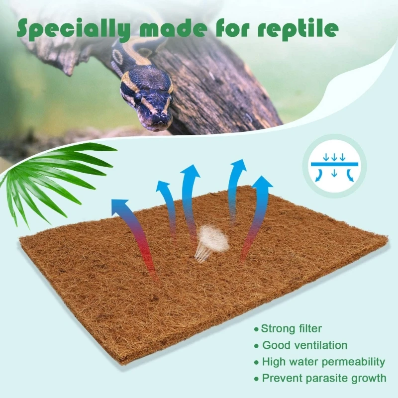 Pack Of 4 Natural Coconut Fibe - Substrate Coconut Fiber 리뷰 및 가격