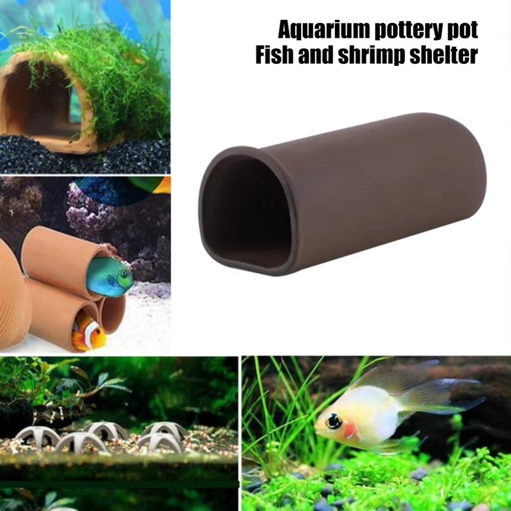 Playing Breeding Spawning Aqua - Hide Cave Ceramic 리뷰 및 가격