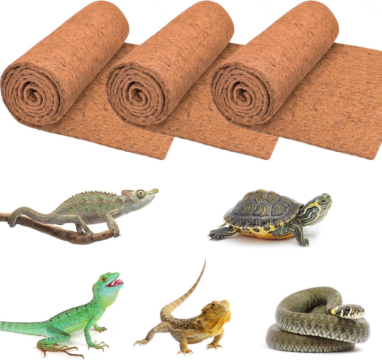3 Rolls Reptile Carpet, 24x48i - Substrate Coconut Fiber 리뷰 및 가격