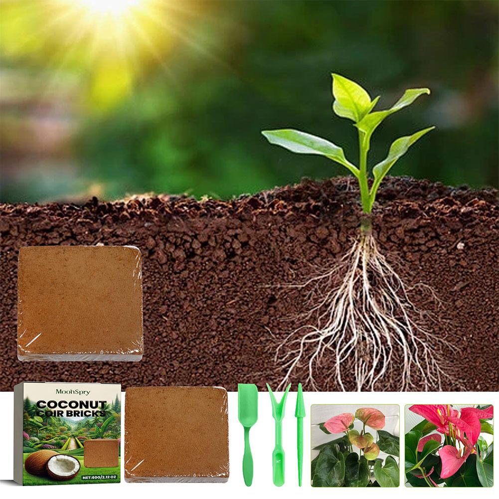 Reptile Coconut Soil Coir Pres - Substrate Coconut Fiber 리뷰 및 가격