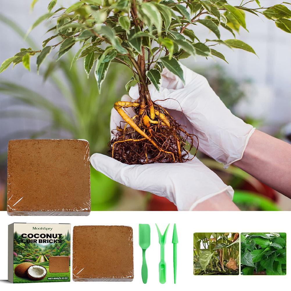 Reptile Coconut Soil Coir Pres - Substrate Coconut Fiber 리뷰 및 가격