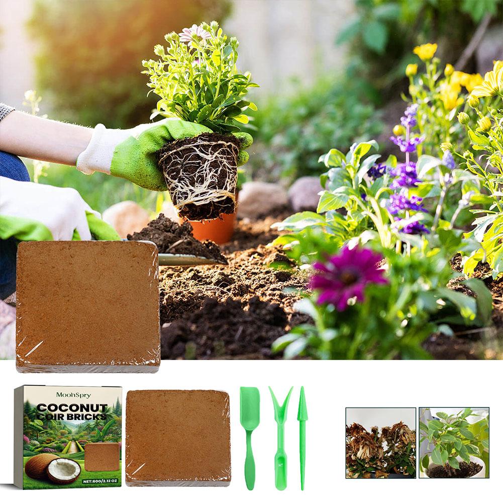 Reptile Coconut Soil Coir Pres - Substrate Coconut Fiber 리뷰 및 가격