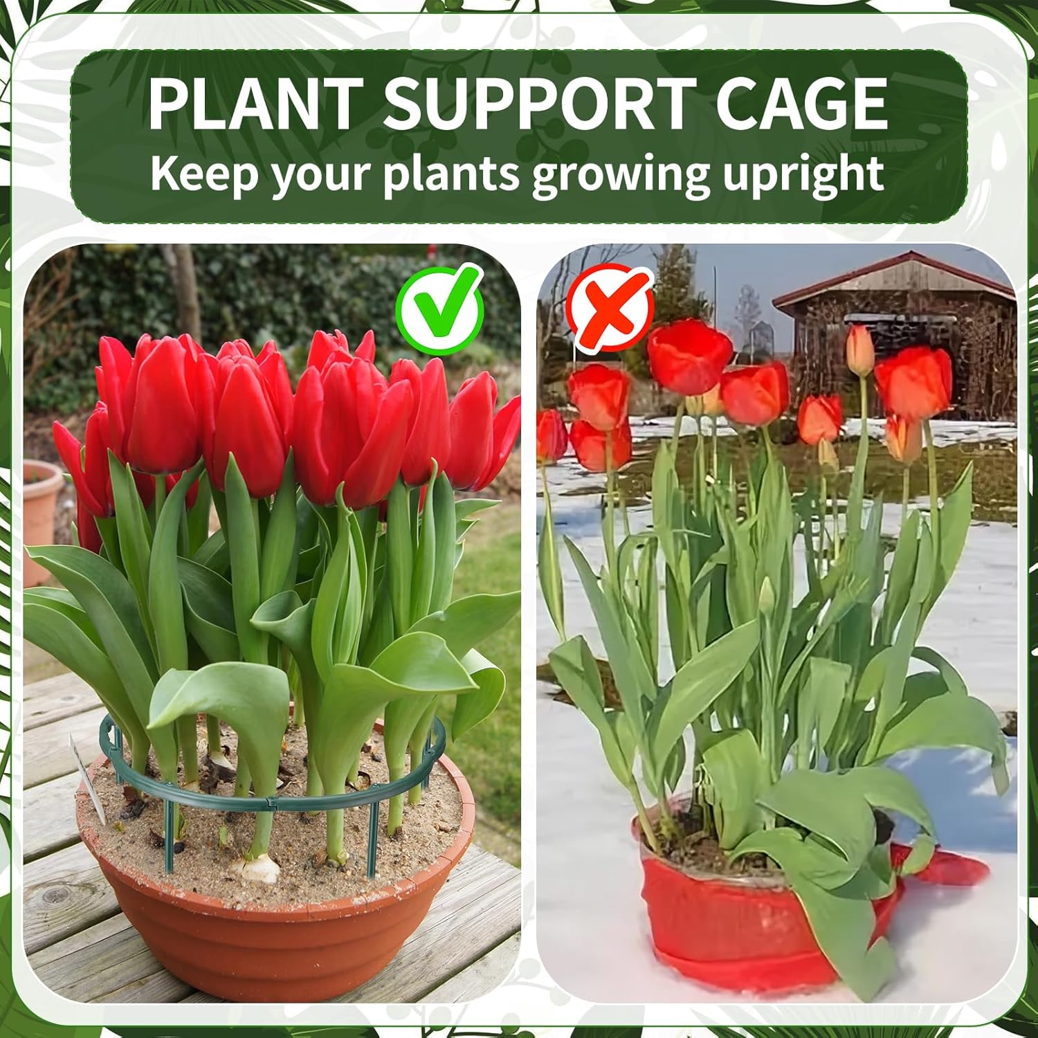 1/16pcs Plant Support Stake Fl - Vine Climbing Plastic 리뷰 및 가격