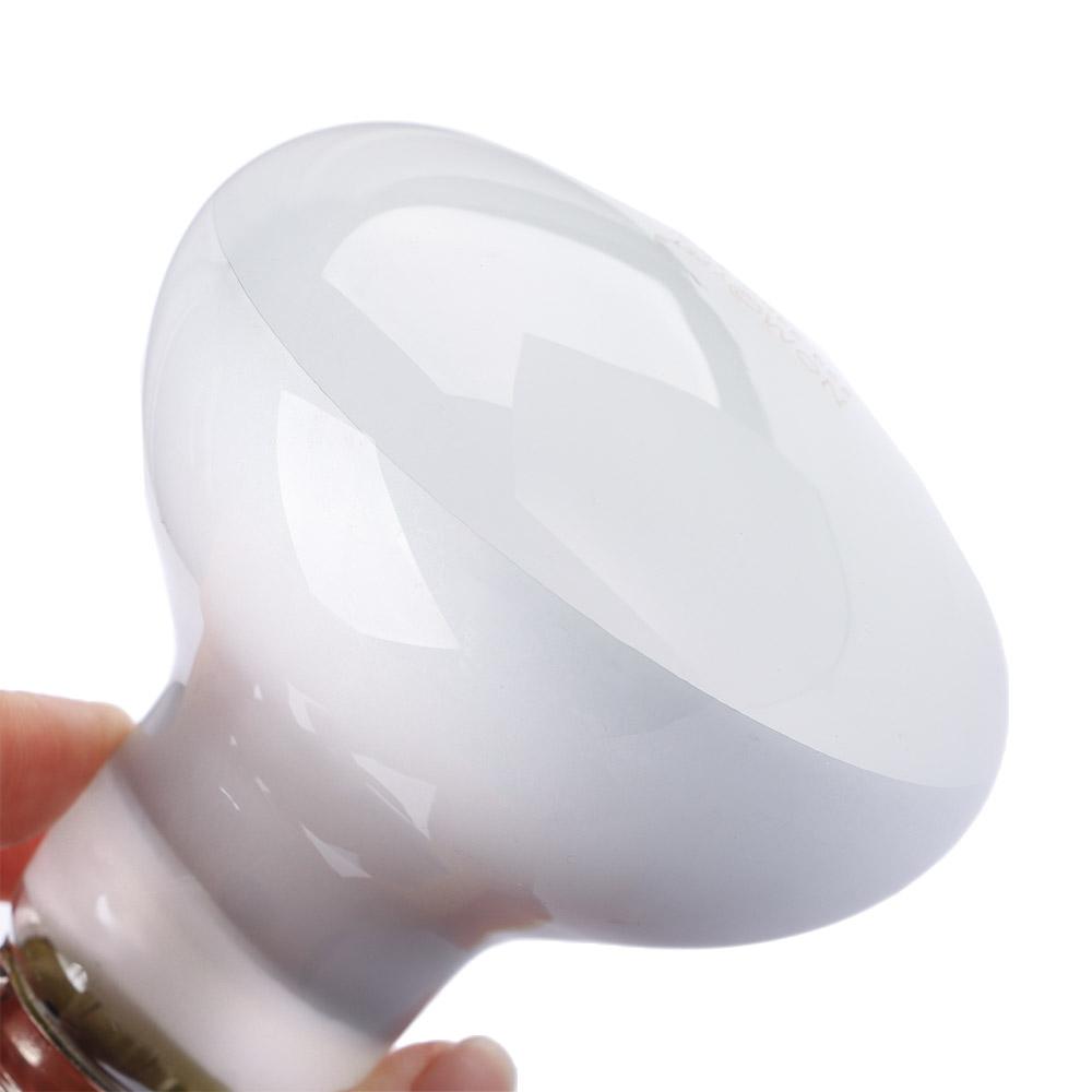 Lizard Heater Temperature Cont - Basking Bulb Halogen 리뷰 및 가격