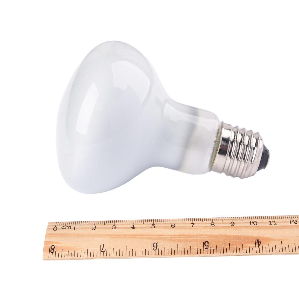 Lizard Heater Temperature Cont - Basking Bulb Halogen 리뷰 및 가격