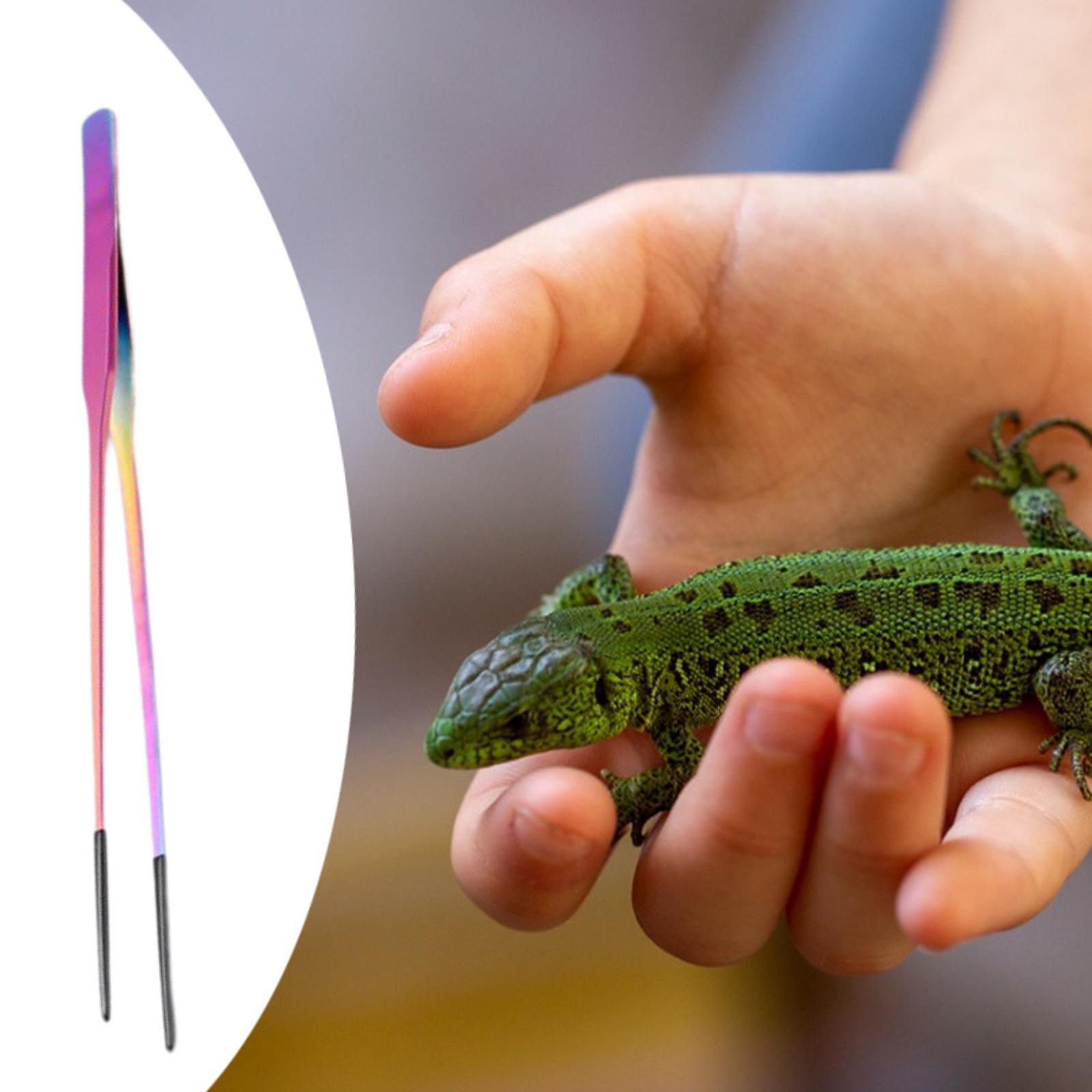 Terrarium Reptile Feeder Tongs - Feeding Tong Stainless 리뷰 및 가격