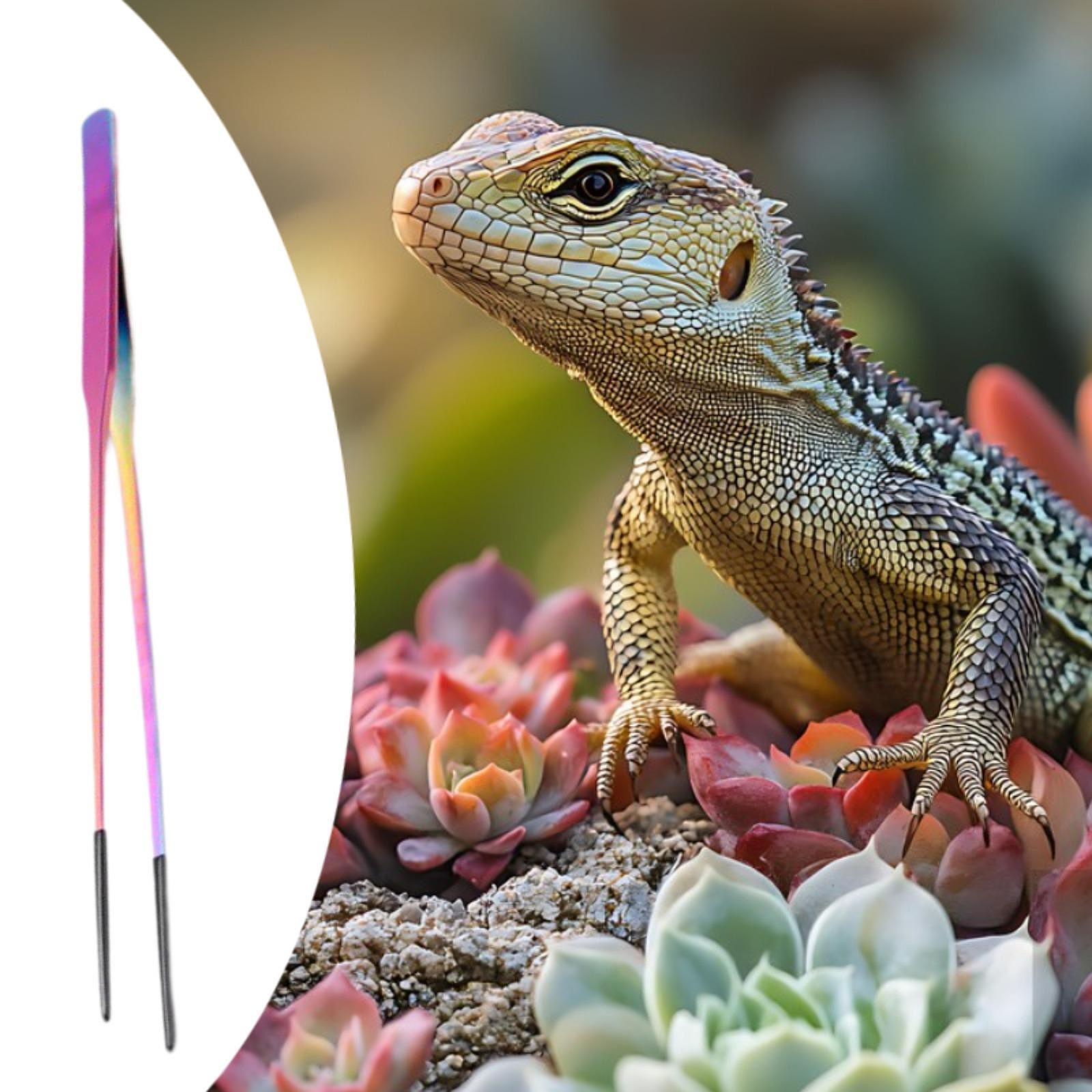 Terrarium Reptile Feeder Tongs - Feeding Tong Stainless 리뷰 및 가격