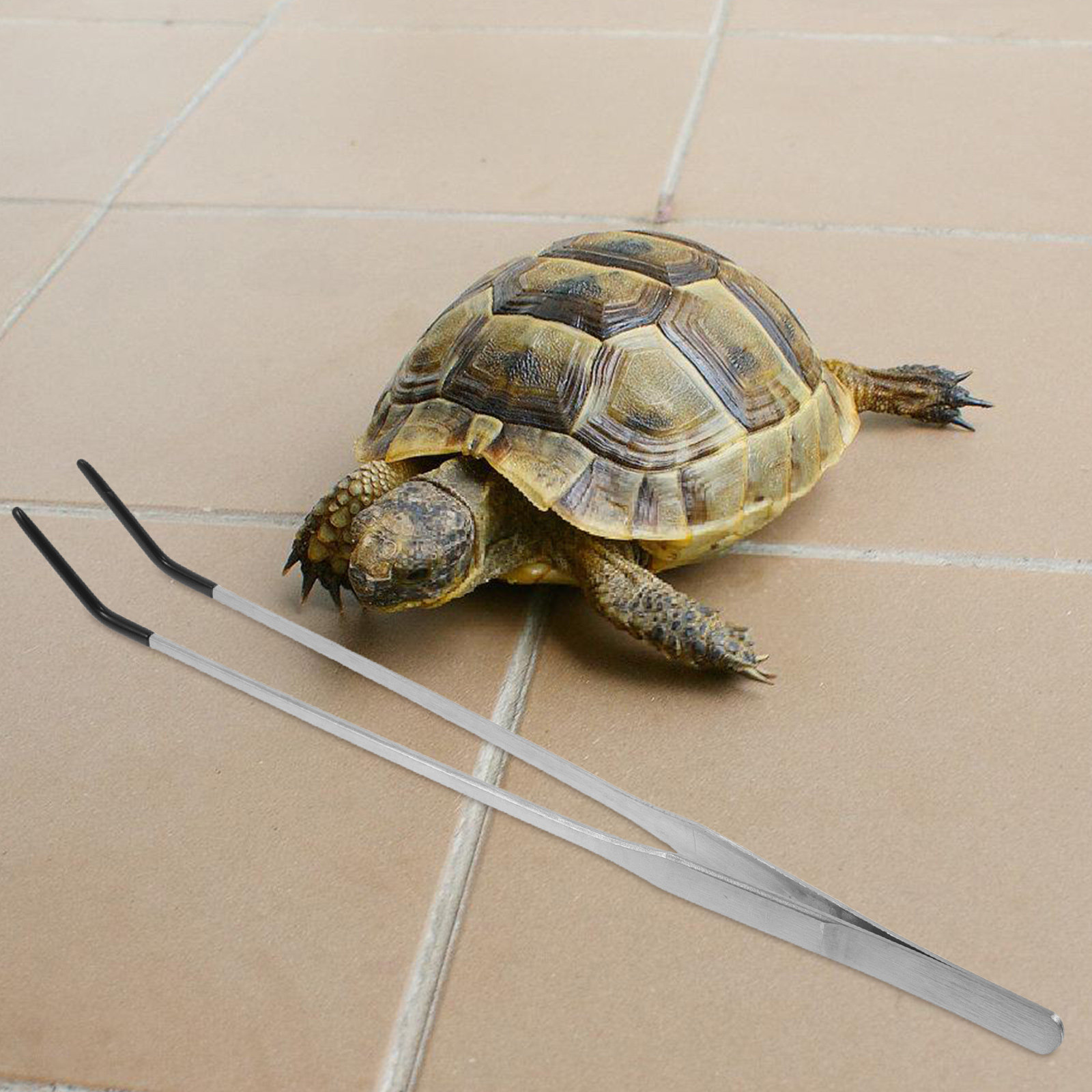 2Pcs Stainless Steel Feeding T - Feeding Tong Stainless 리뷰 및 가격