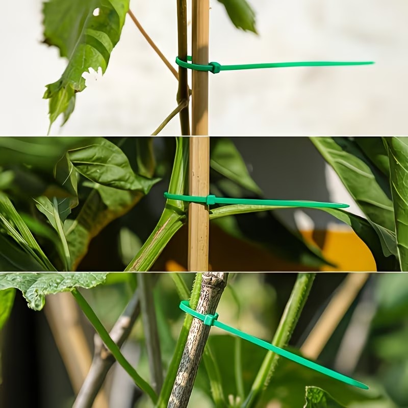 50-300pcs Adjustable Plastic P - Vine Climbing Plastic 리뷰 및 가격