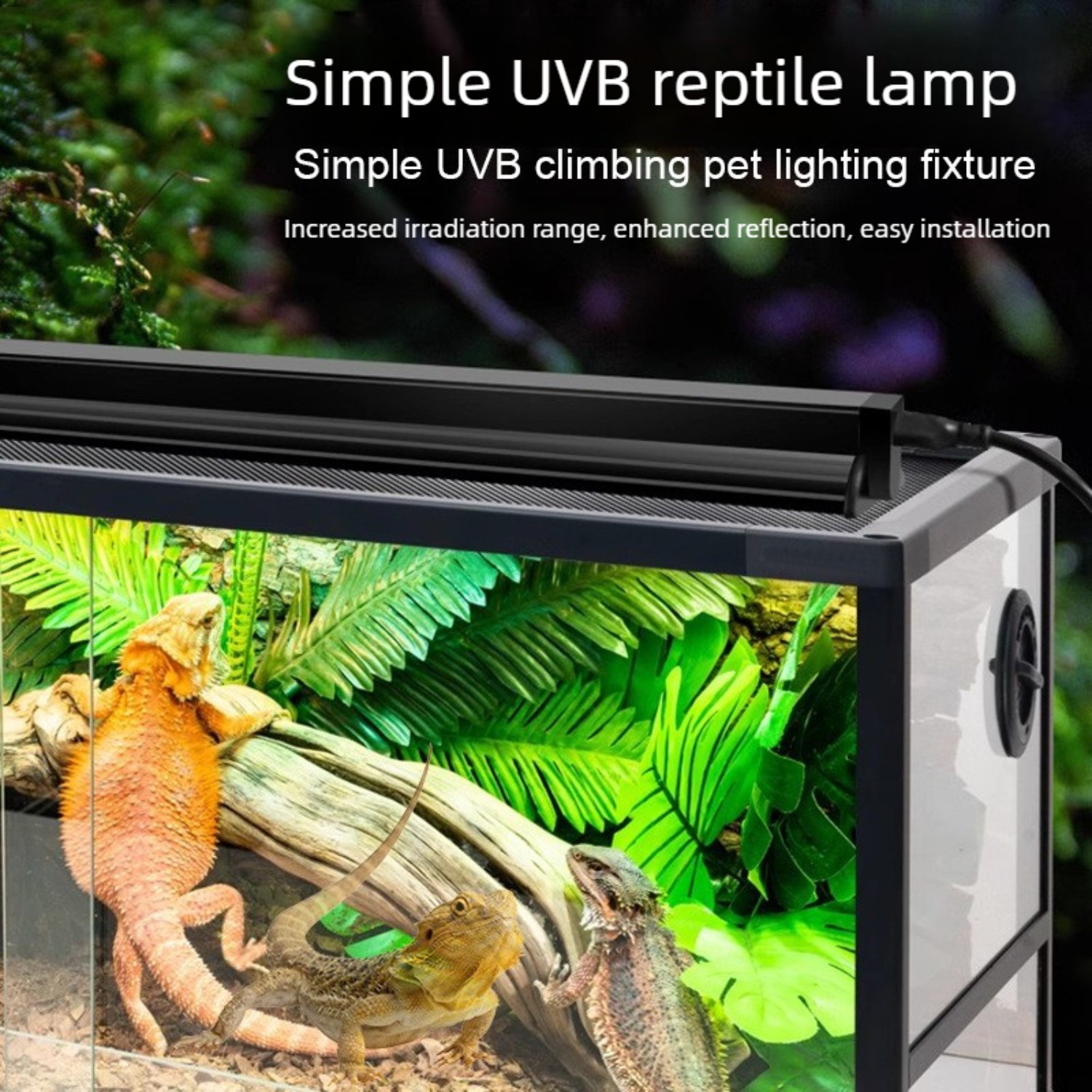 Reptile UVB Lamp Combo Kit UVA - Calcium Powder Reptile 리뷰 및 가격
