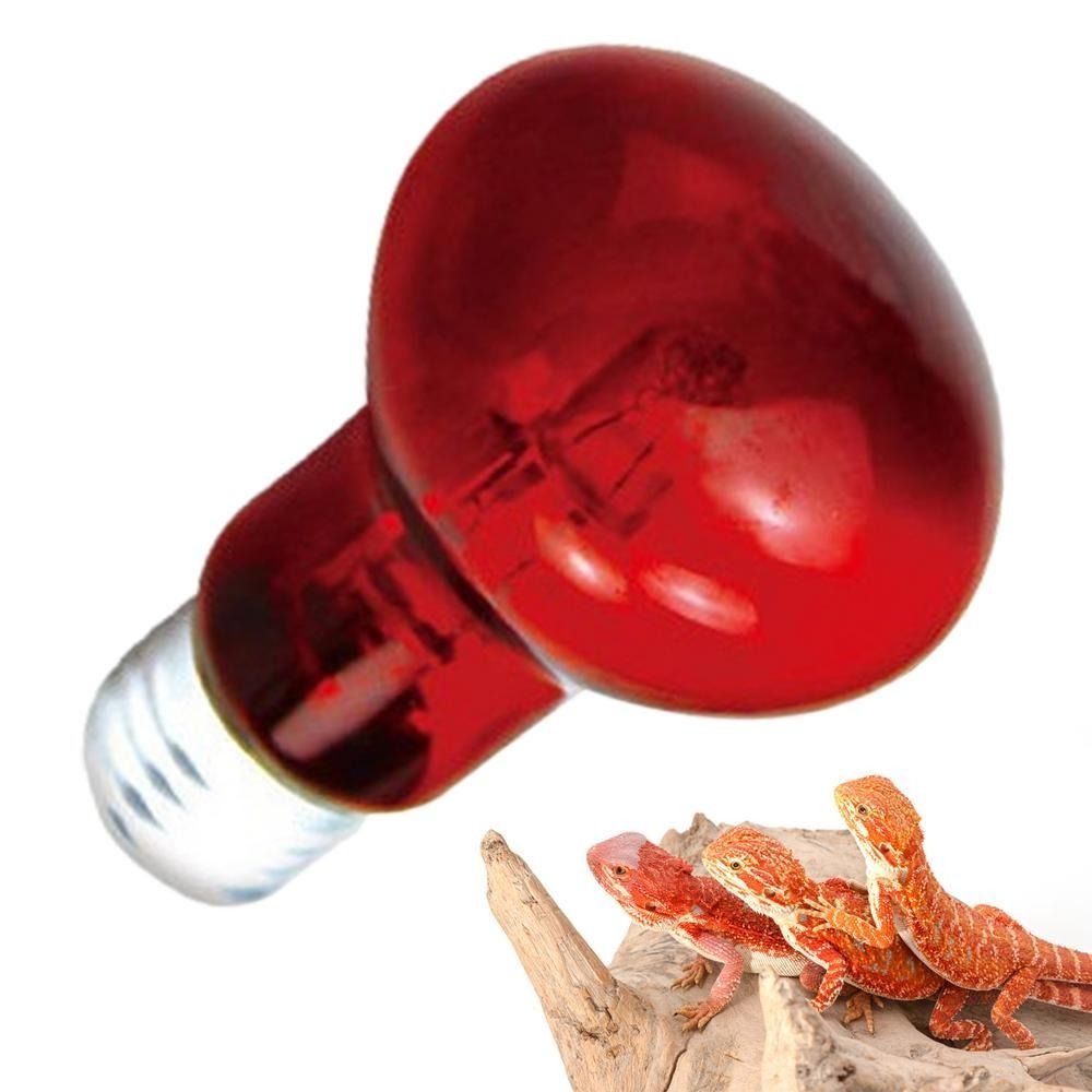 Infrared Led Pet Heating Lamp  - Ceramic Heat Emitter 리뷰 및 가격