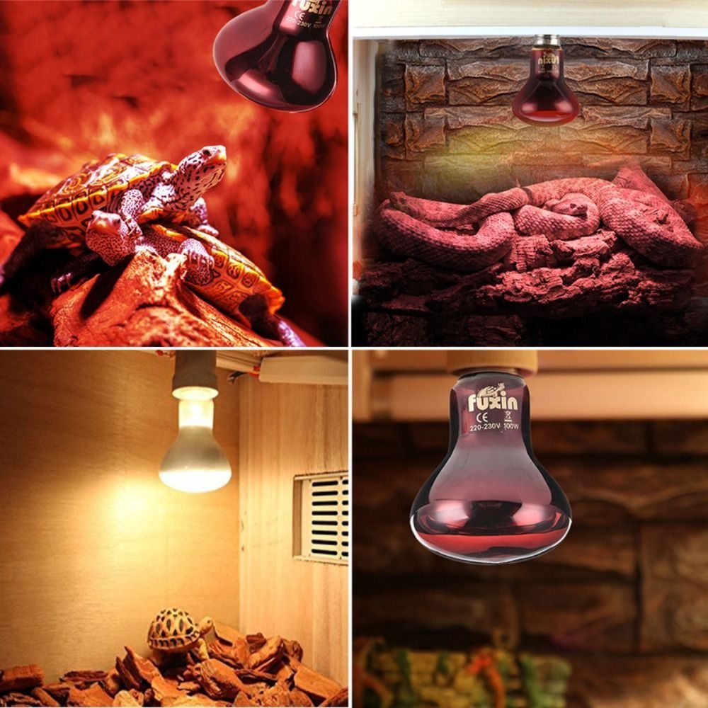 Infrared Led Pet Heating Lamp  - Ceramic Heat Emitter 리뷰 및 가격