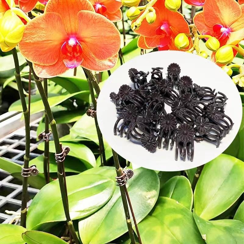 Wholesale Mini Plant Support C - Vine Climbing Plastic 리뷰 및 가격