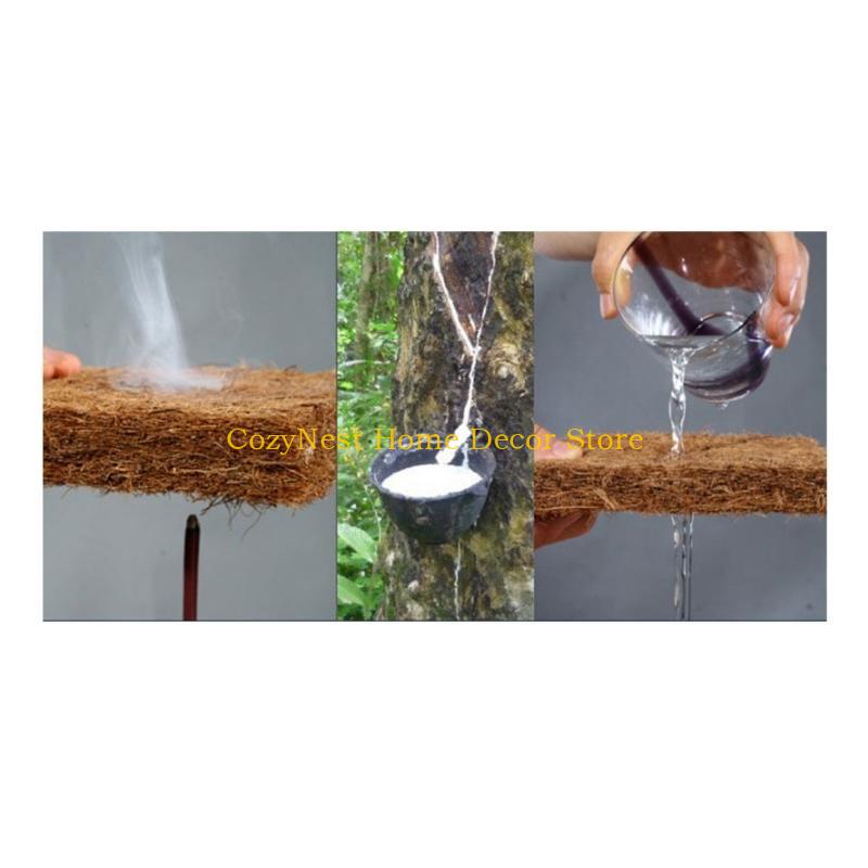 92MF Terrariums Substrate Line - Substrate Coconut Fiber 리뷰 및 가격