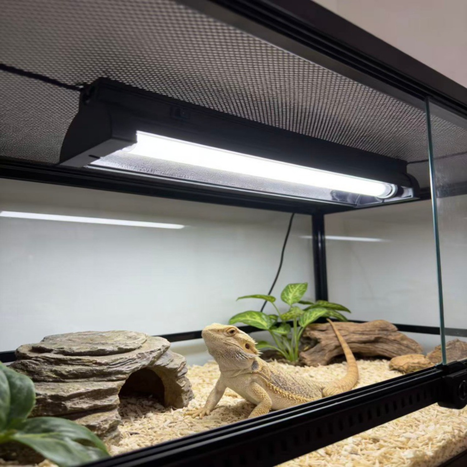 T5 UVB Reptile Light Fixture K - Calcium Powder Reptile 리뷰 및 가격