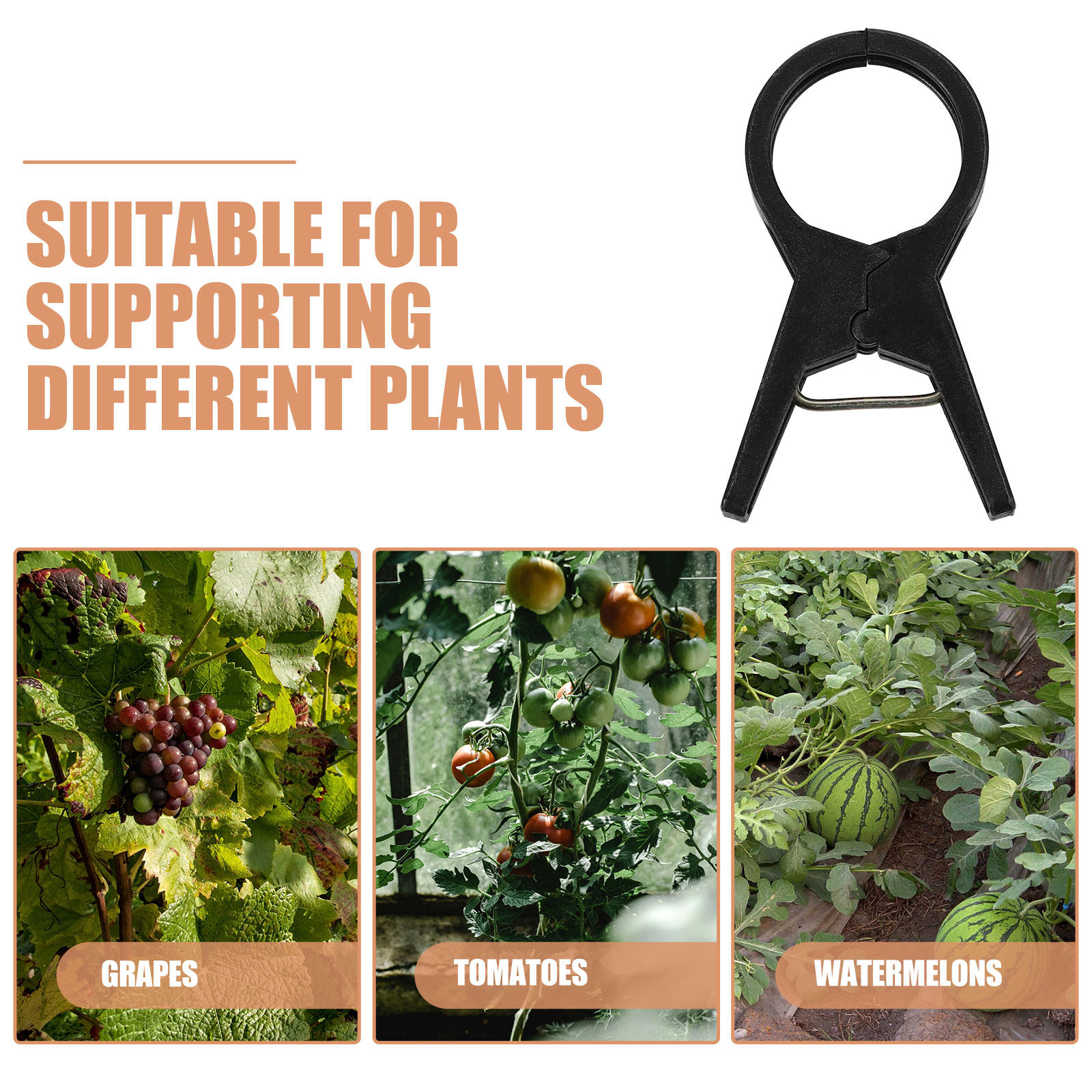 100Pcs Plastic Plant Support C - Vine Climbing Plastic 리뷰 및 가격