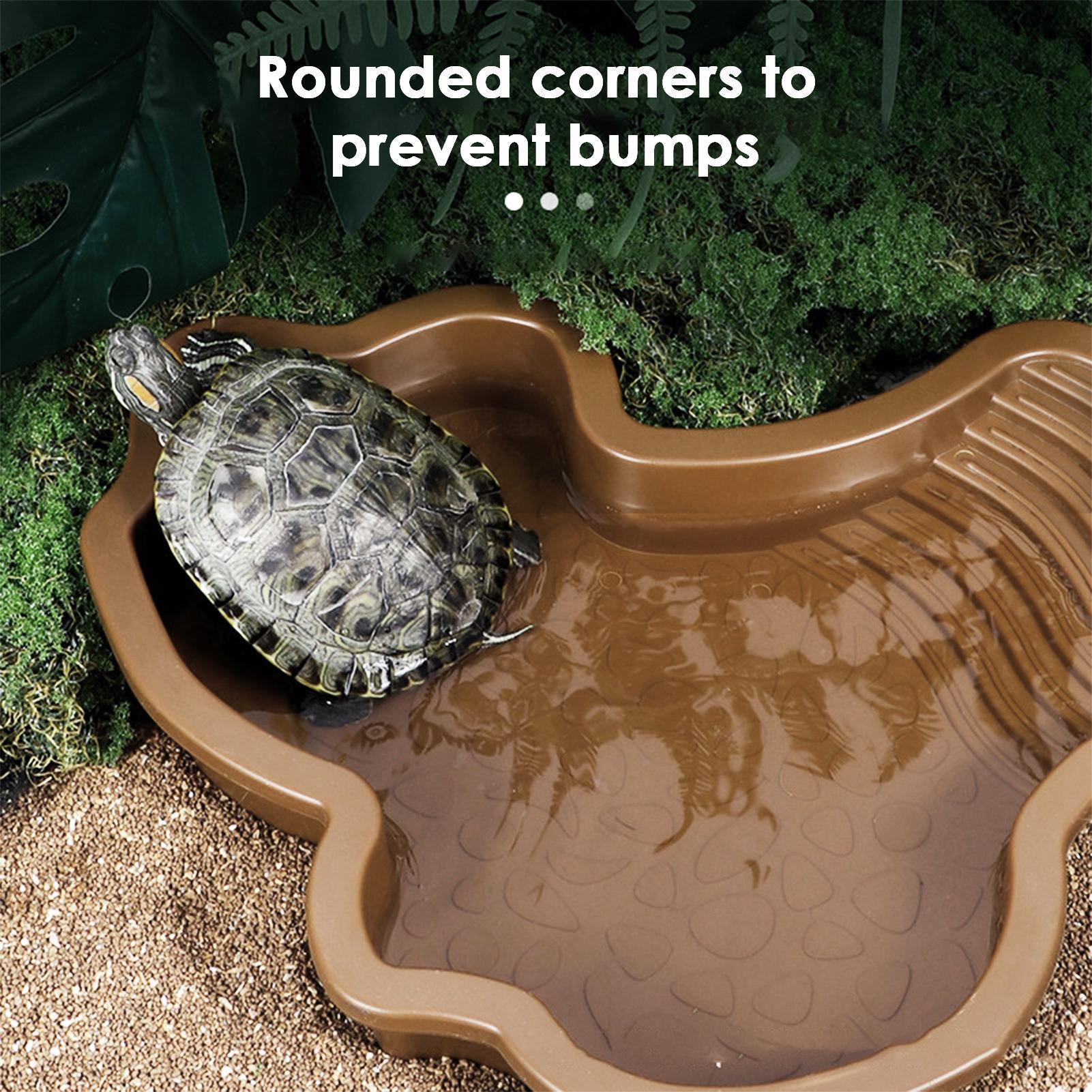Reptile Bathing Pool with Ramp - Water Dish Reptile 리뷰 및 가격