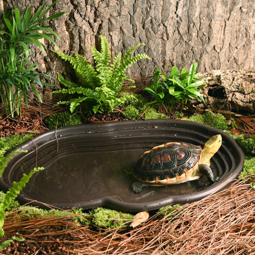 Reptile Bathing Dish Amphibian - Water Dish Reptile 리뷰 및 가격