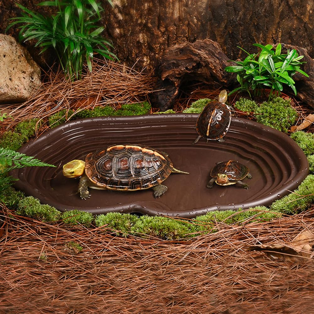 Reptile Bathing Dish Amphibian - Water Dish Reptile 리뷰 및 가격