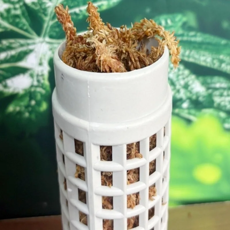 2026-9PCS Easy Assembly Plasti - Vine Climbing Plastic 리뷰 및 가격