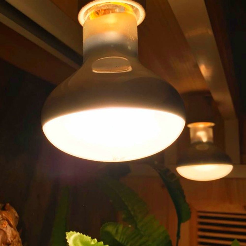 Turtle Temperature Controller  - Basking Bulb Halogen 리뷰 및 가격