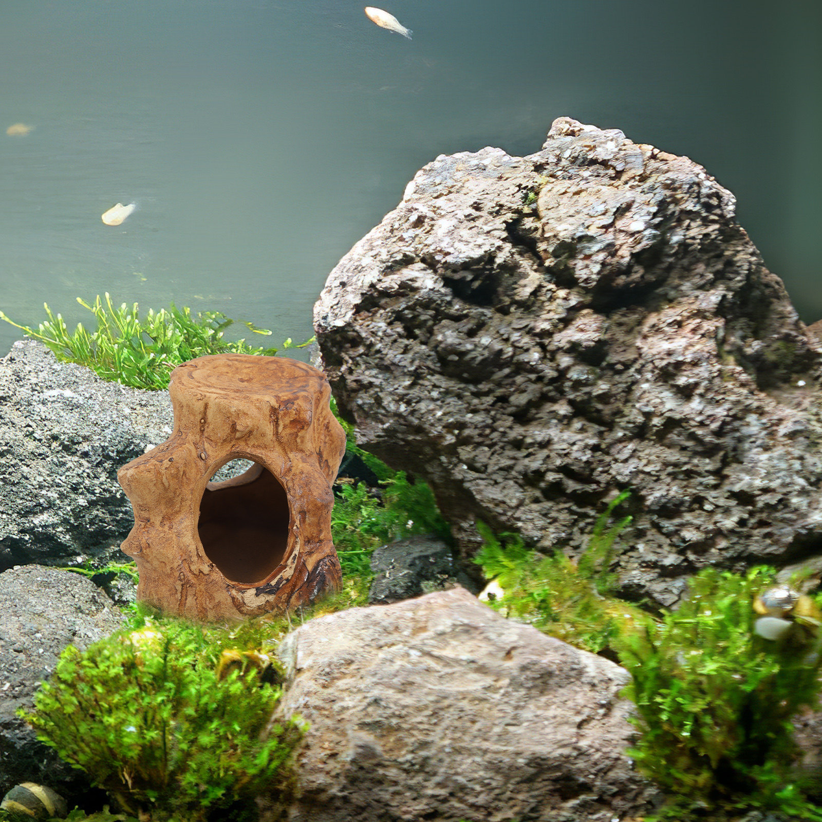 Pleco Caves for Aquarium Fish  - Hide Cave Ceramic 리뷰 및 가격