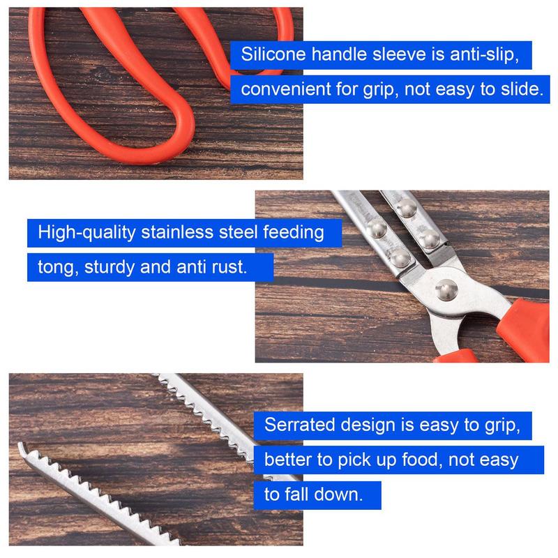 Stainless Steel Reptile Feeder - Feeding Tong Stainless 리뷰 및 가격