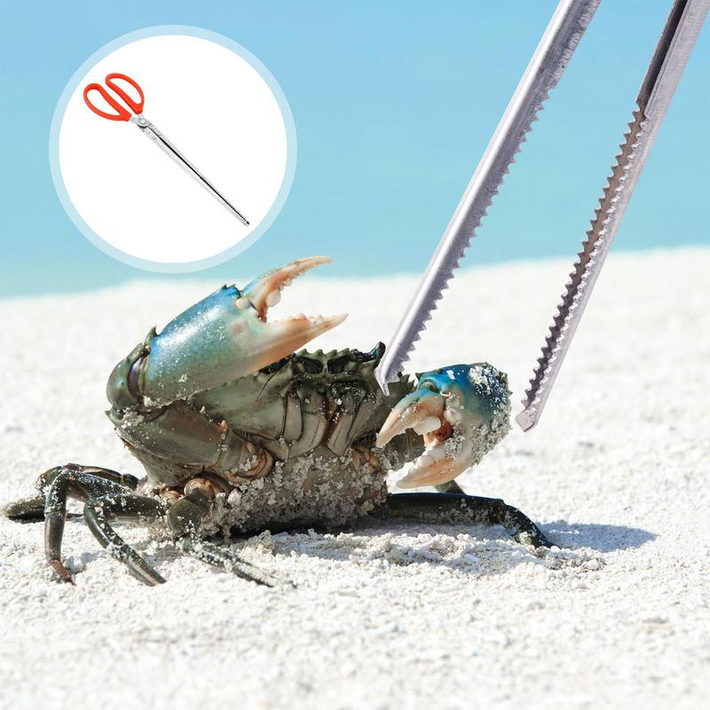 Stainless Steel Reptile Feeder - Feeding Tong Stainless 리뷰 및 가격