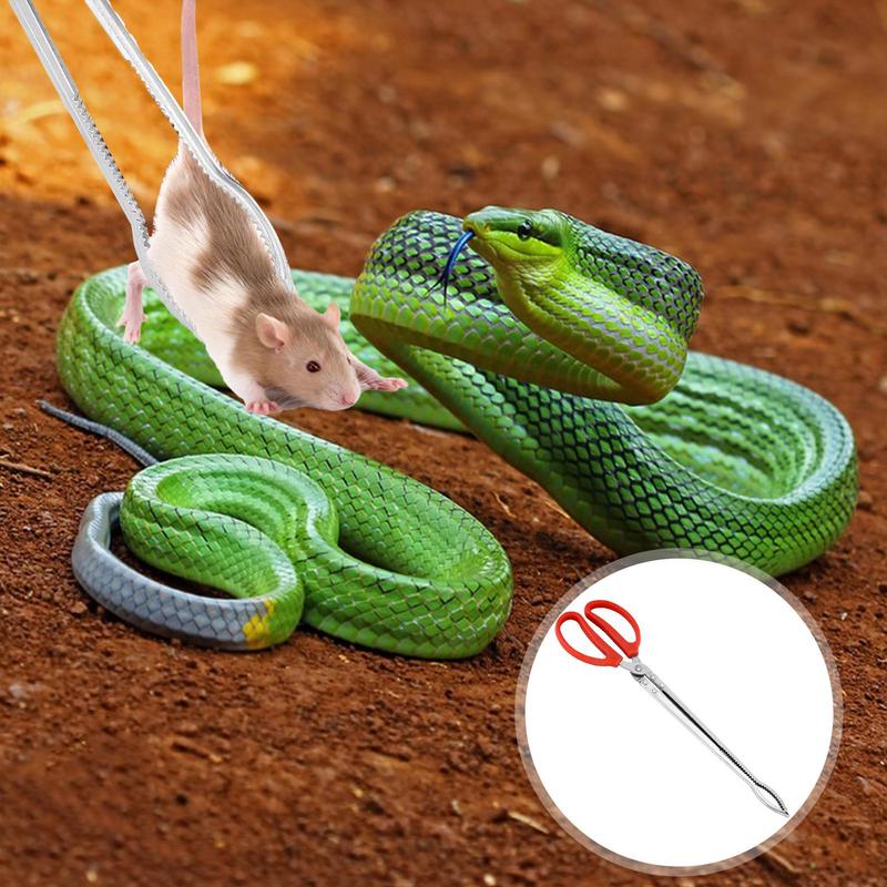 Stainless Steel Reptile Feeder - Feeding Tong Stainless 리뷰 및 가격