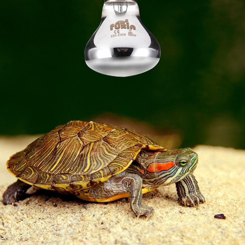 Pet Heating Lamp E27 Day Night - Ceramic Heat Emitter 리뷰 및 가격