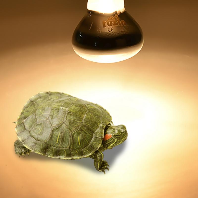 Pet Heating Lamp E27 Day Night - Ceramic Heat Emitter 리뷰 및 가격