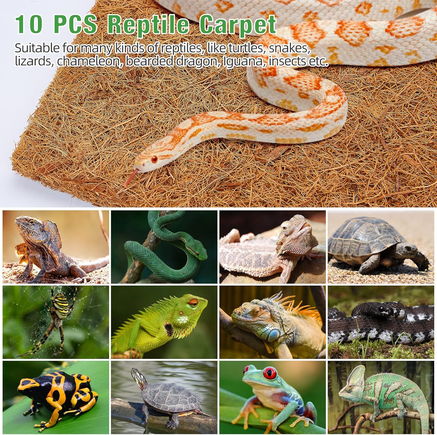 10 Pcs Reptile Carpet, 12x12 i - Substrate Coconut Fiber 리뷰 및 가격