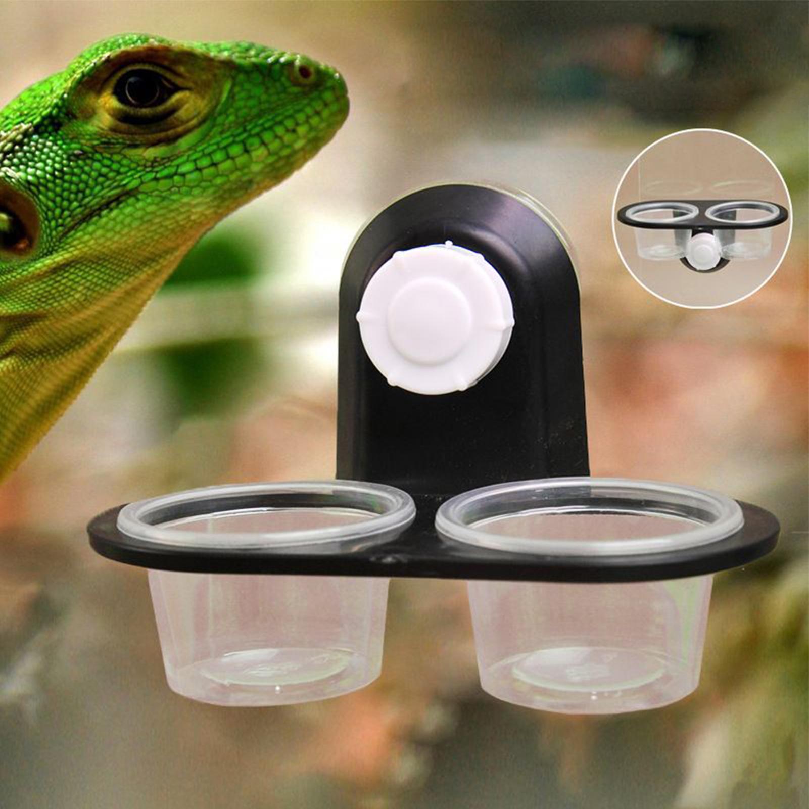 Gecko Food Dish Gecko Feeding  - Water Dish Reptile 리뷰 및 가격