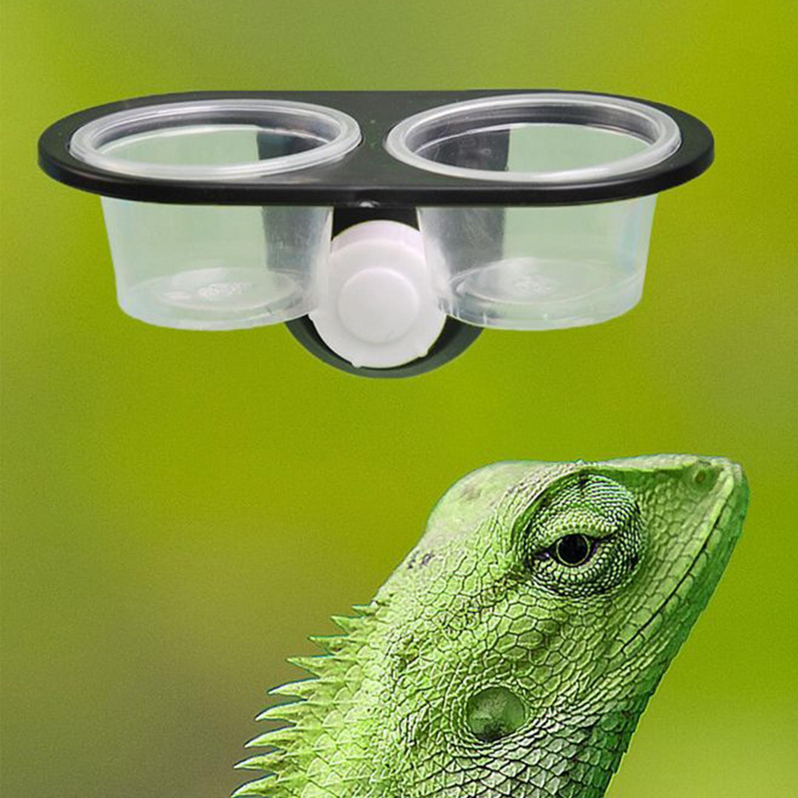 Gecko Food Dish Gecko Feeding  - Water Dish Reptile 리뷰 및 가격