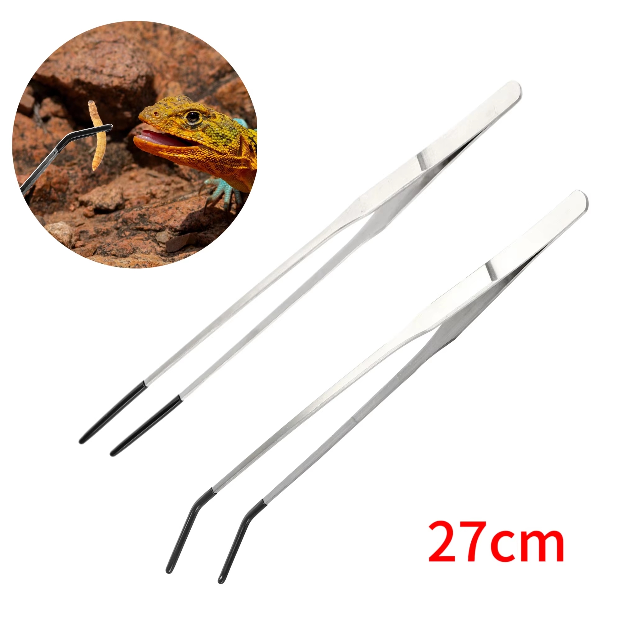 Stainless Steel Reptile Feedin - Feeding Tong Stainless 리뷰 및 가격