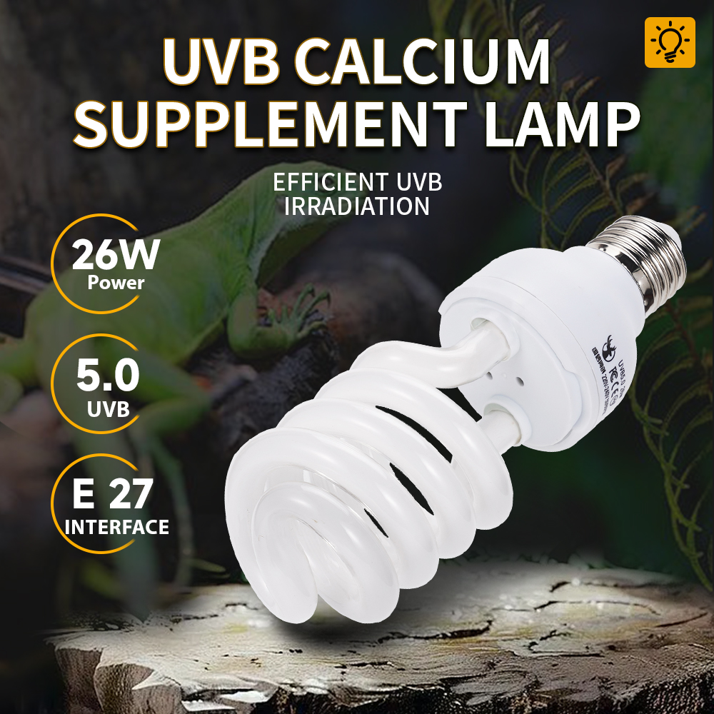 26W Pet Box Lamp Calcium Suppl - Calcium Powder Reptile 리뷰 및 가격