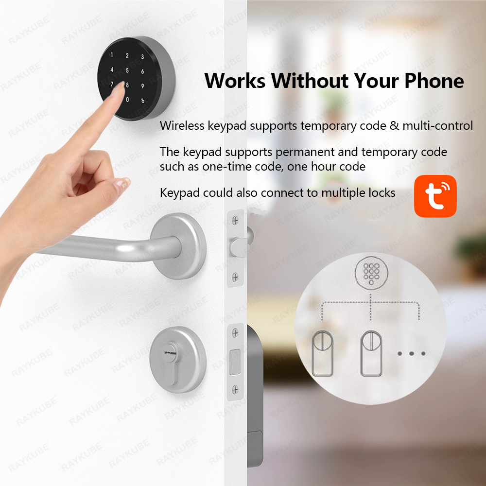 RAYKUBE A1 Pro Tuya BEL Smart  - Glass Door Hinge 리뷰 및 가격