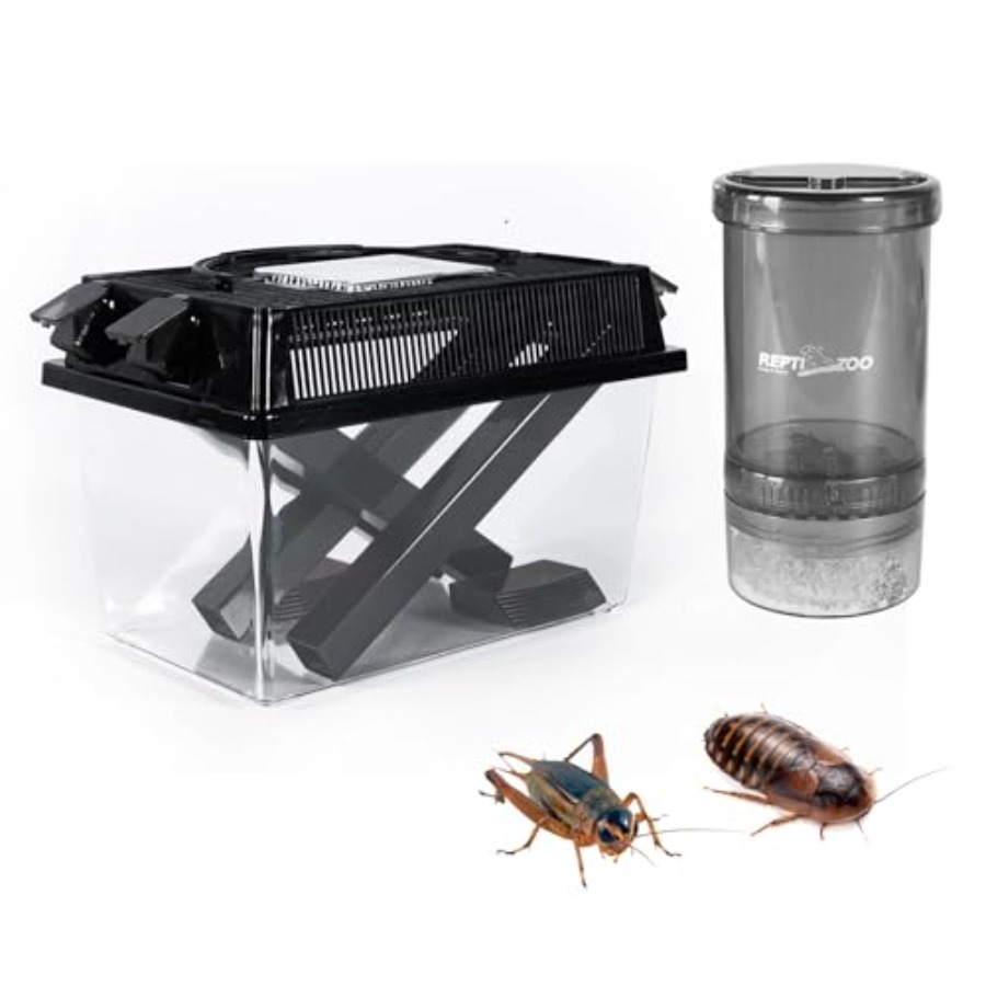 【Spot goods】Reptile Cricket Ke - Calcium Powder Reptile 리뷰 및 가격