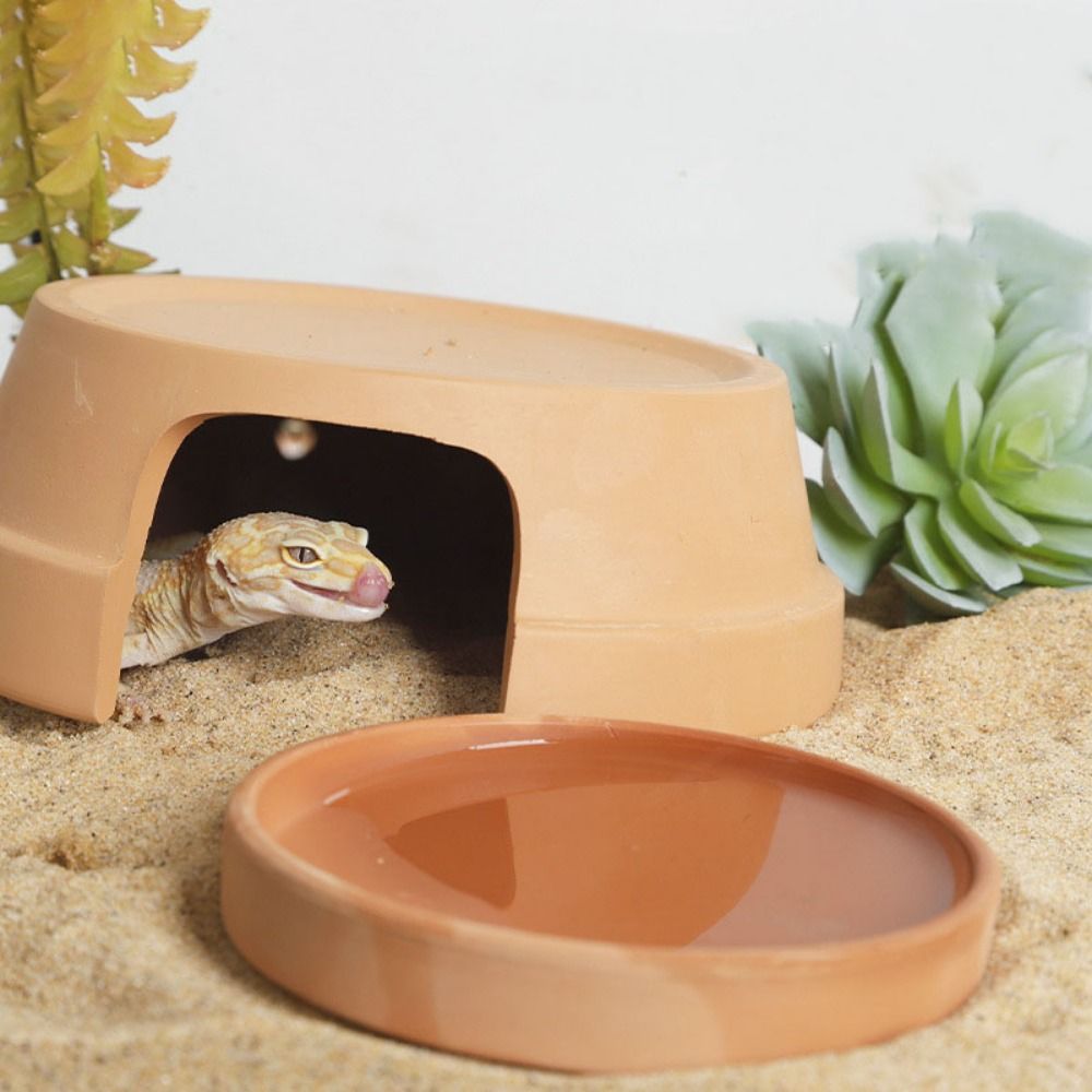 Multifunctional Ceramics Repti - Hide Cave Ceramic 리뷰 및 가격