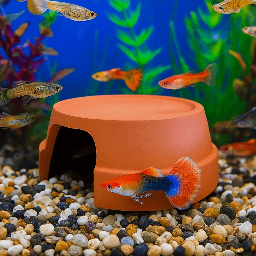Multifunctional Ceramics Repti - Hide Cave Ceramic 리뷰 및 가격