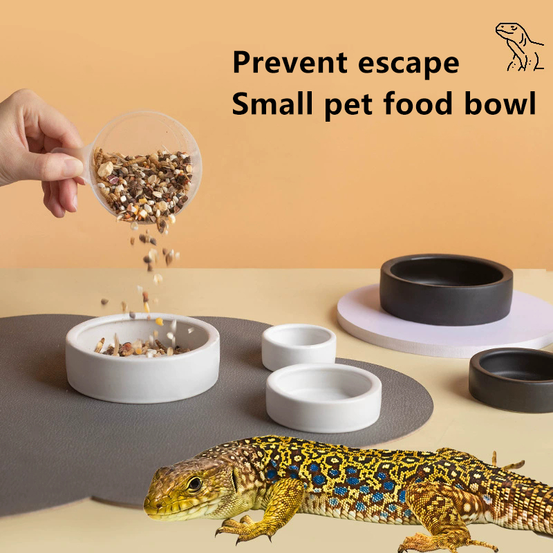 HOT! Reptile Food Bowl Anti-Es - Water Dish Reptile 리뷰 및 가격