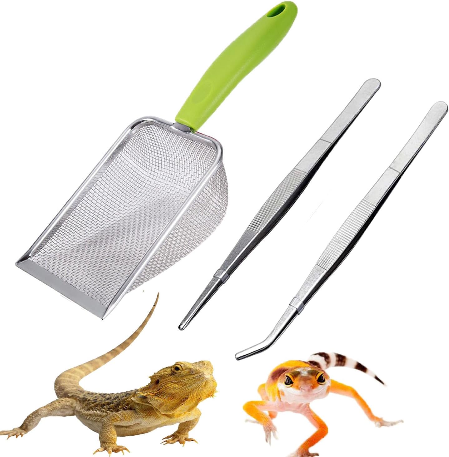 Reptile Sand Scoop Set - Fine  - Feeding Tong Stainless 리뷰 및 가격