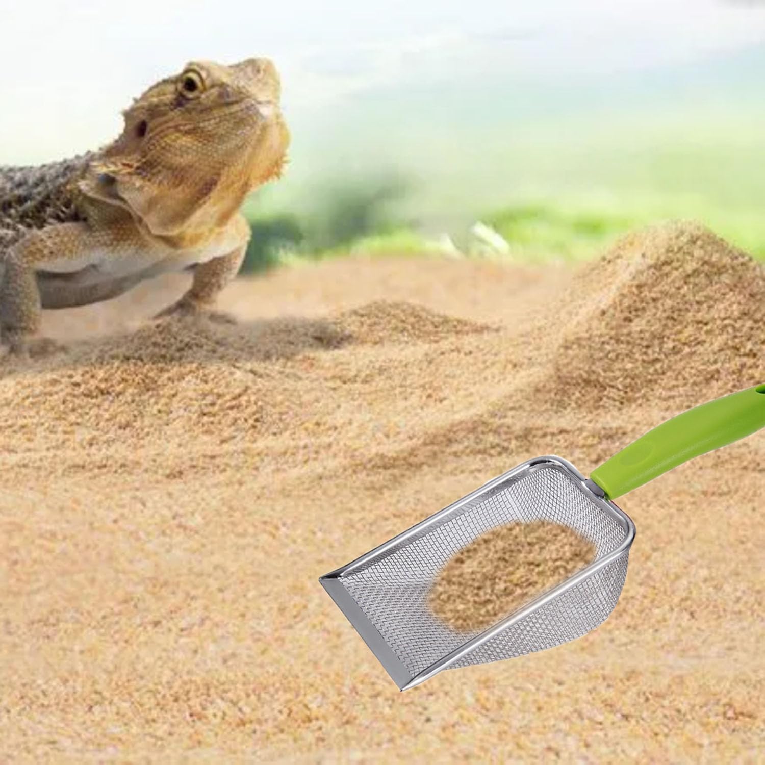 Reptile Sand Scoop Set - Fine  - Feeding Tong Stainless 리뷰 및 가격