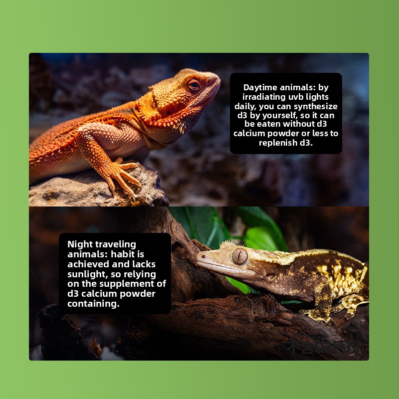 Reptizoo Reptile Calcium Powde - Vitamin D3 Reptile 리뷰 및 가격