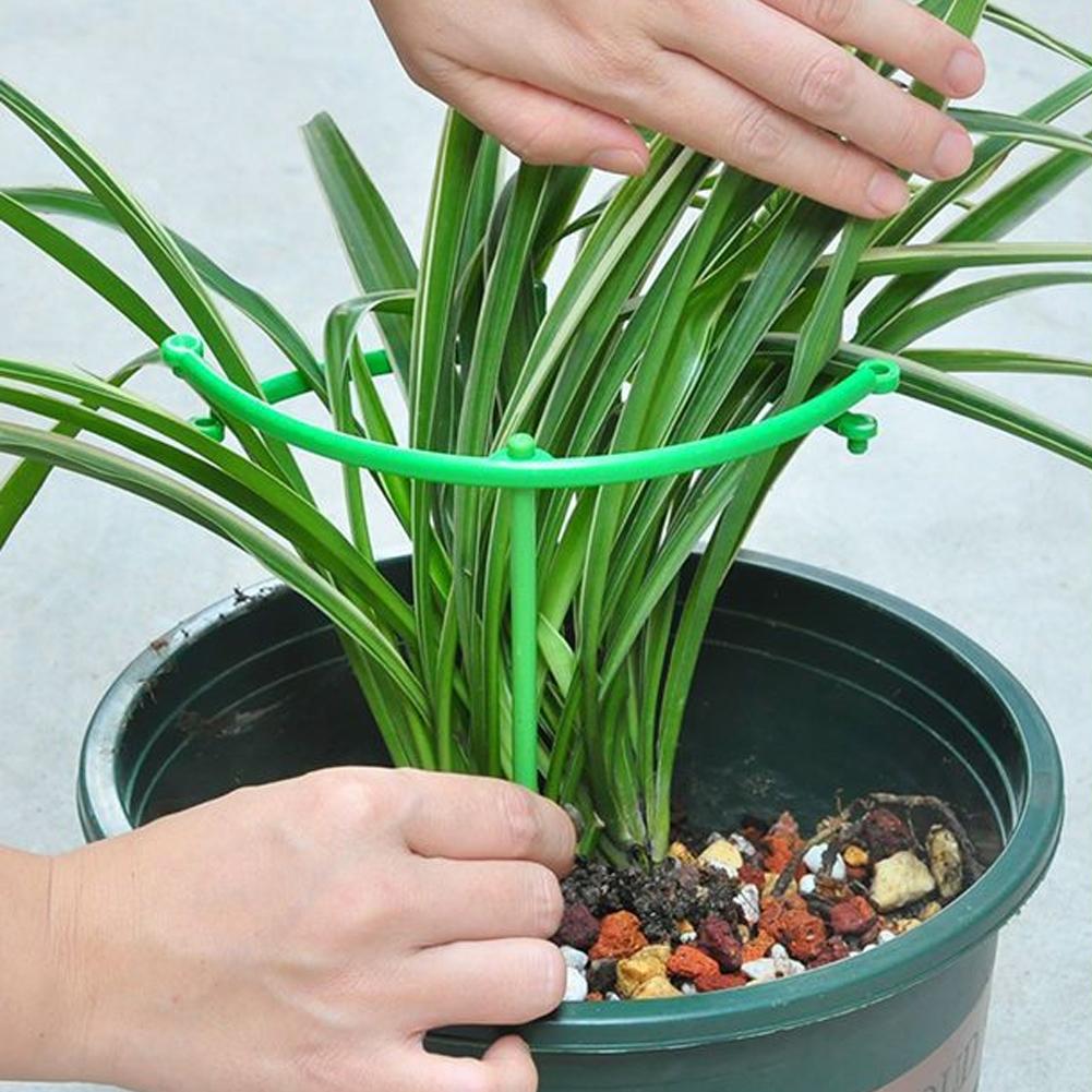 Adjustable Green Checkered Gar - Vine Climbing Plastic 리뷰 및 가격