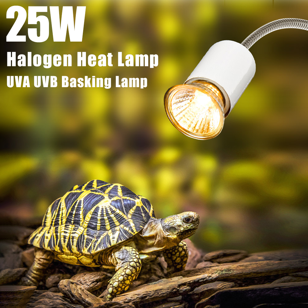 25W Halogen Heat Lamp UVA UVB  - Basking Bulb Halogen 리뷰 및 가격